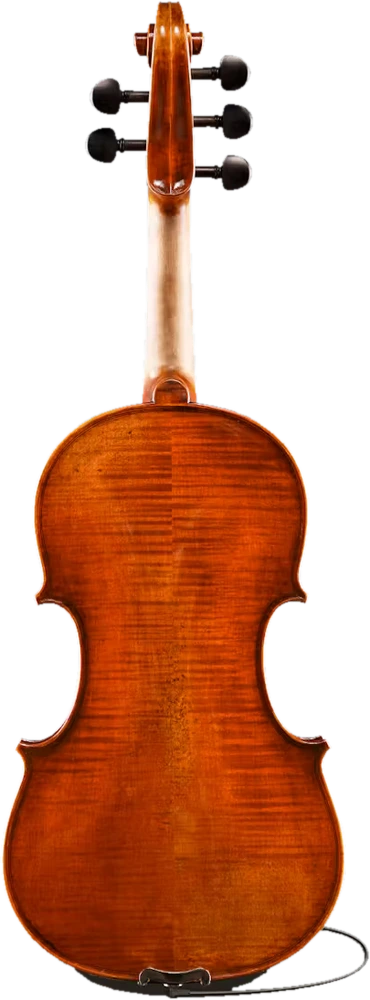 Eastman Rudoulf Doetsch 5-String Series+ VL7015+, back