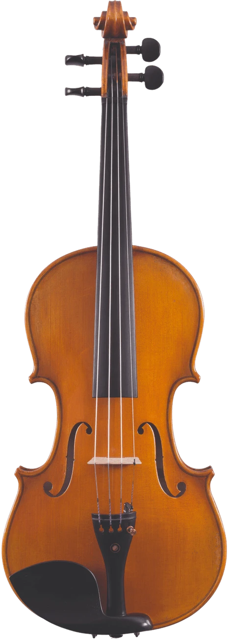 Canzona Francesco Veracini 530 Artist Series violin