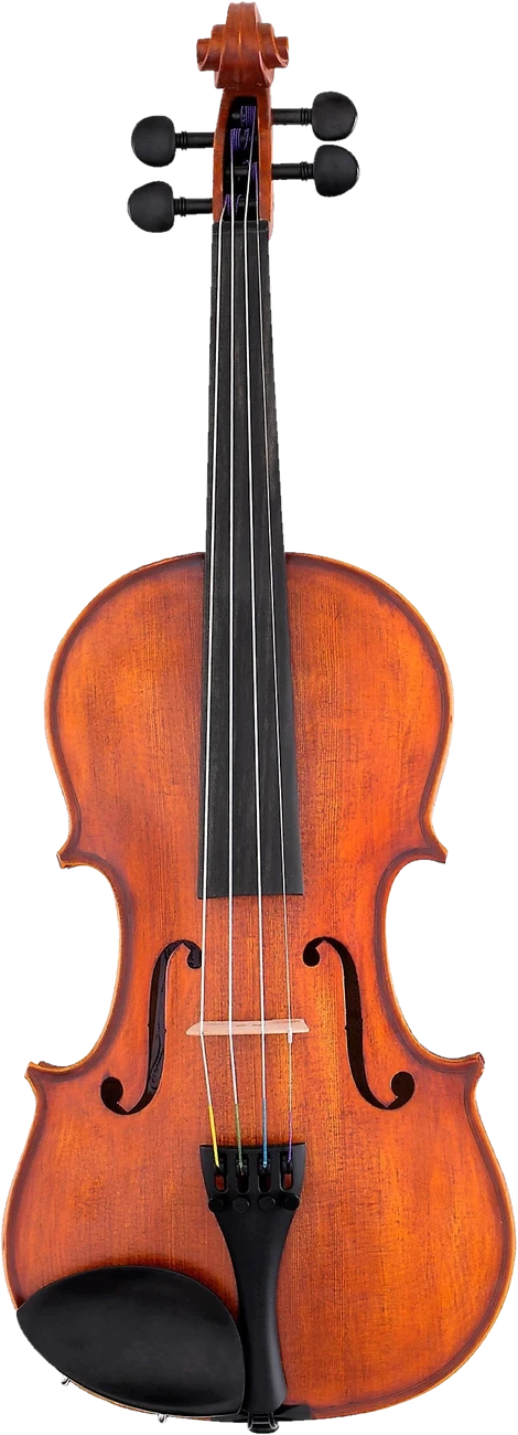 Scherl & Roth SR51 violin
