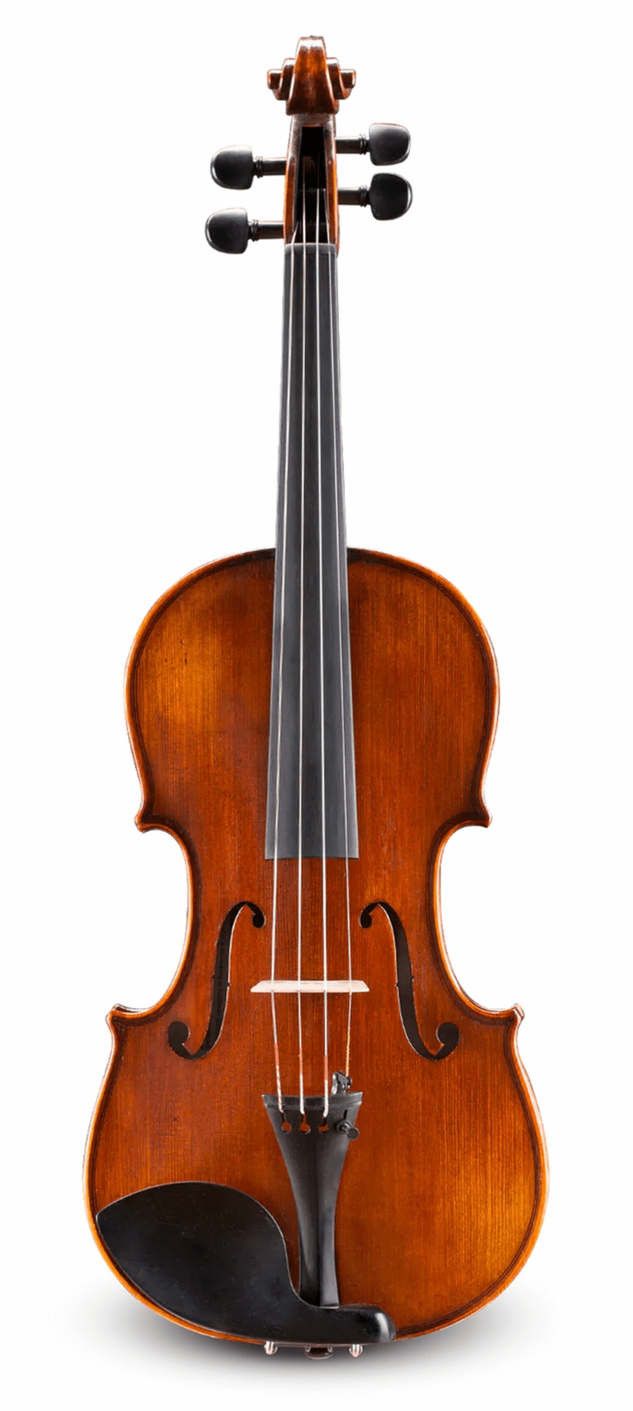 Intermediate Violin Outfit – Andreas Eastman VL305 - Atelier Fine Strings