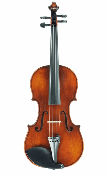 Intermediate Violin Outfit – Andreas Eastman VL305 - Atelier Fine Strings