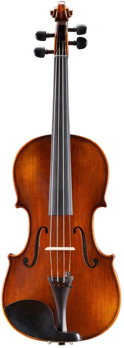 Intermediate Violin Outfit – Andreas Eastman VL305 - Atelier Fine Strings