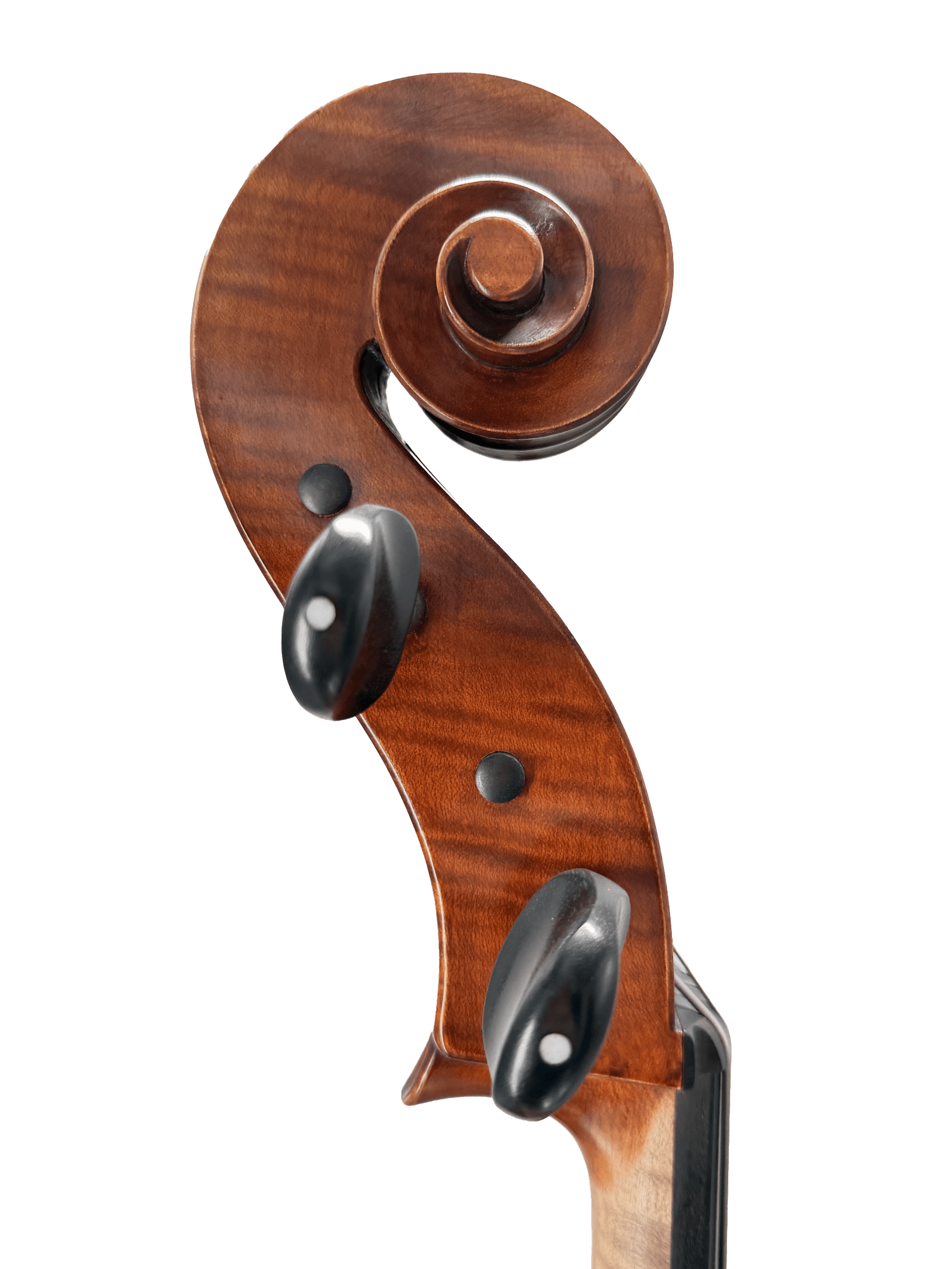 Close-up of the Juzek 303 Cello scroll and tuning pegs, highlighting the smooth spiral carving and fine dark wood grain typical of quality craftsmanship, set against a white background.