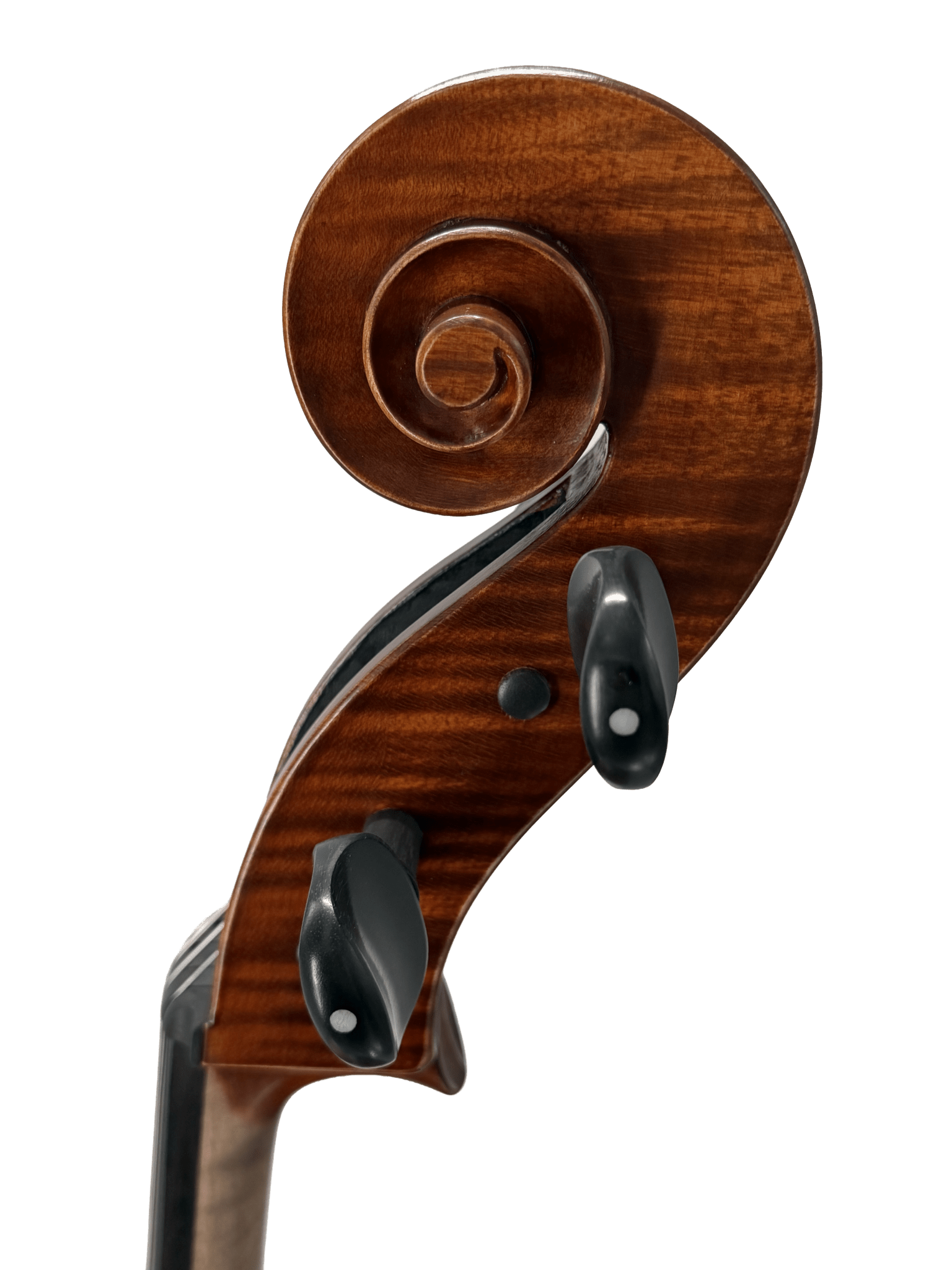 Close-up of a Juzek 303 Cello scroll with two tuning pegs, highlighting the rich brown wood and fine grain against a plain light background—an ideal step-up instrument for advancing players.