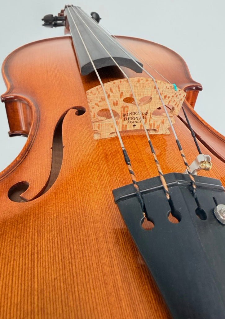 Close-up view of the Luce Sebastian Professional Instrument, highlighting its strings, bridge, and a portion of its finely crafted wooden body—made from premium tonewoods—captured from a low angle against a plain background.