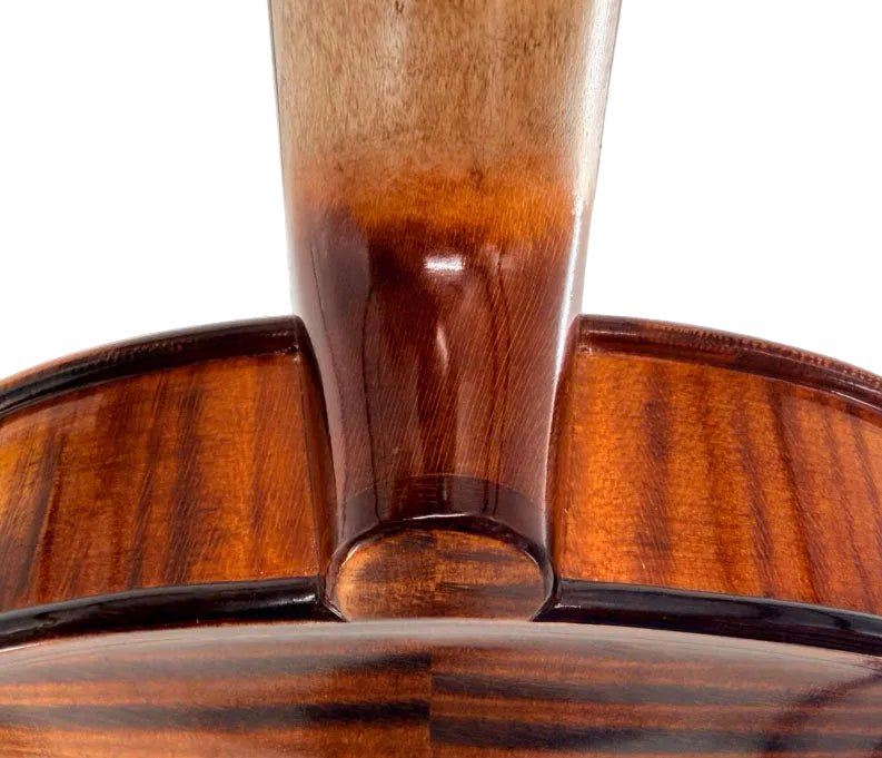 Close-up detail of a violin's body joint and backplate, showcasing the rich, glossy brown wood grain and finish.