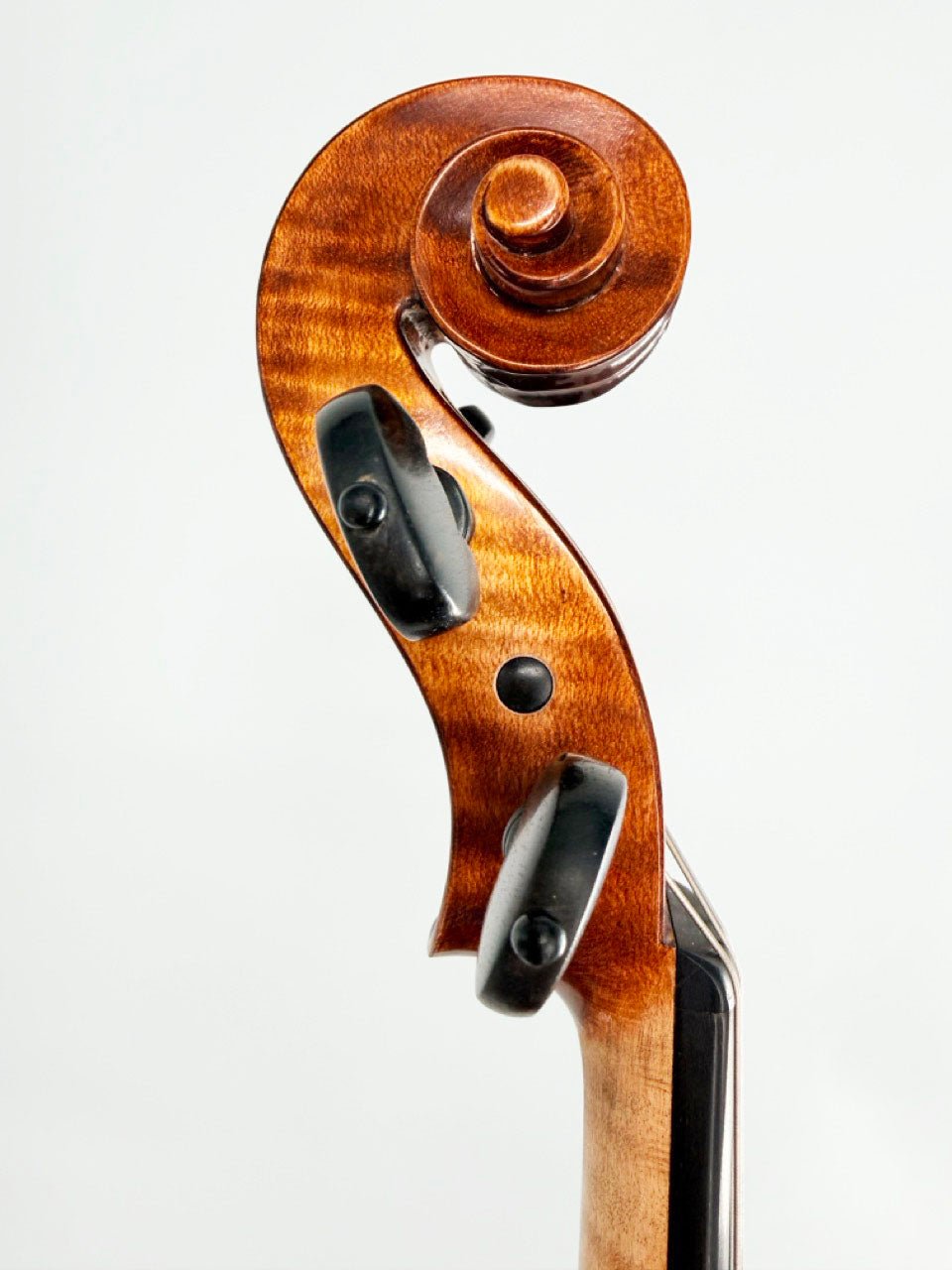 Close-up photo of the Luce Sebastian Professional Instrument’s handcrafted violin scroll and tuning pegs against a plain white background, highlighting the polished wood grain and smooth curves of this premium-quality instrument.