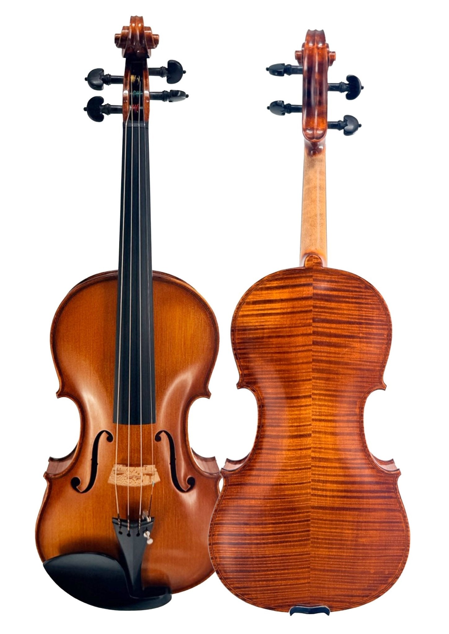 Professional violin pictured with both its front and back showing side by side