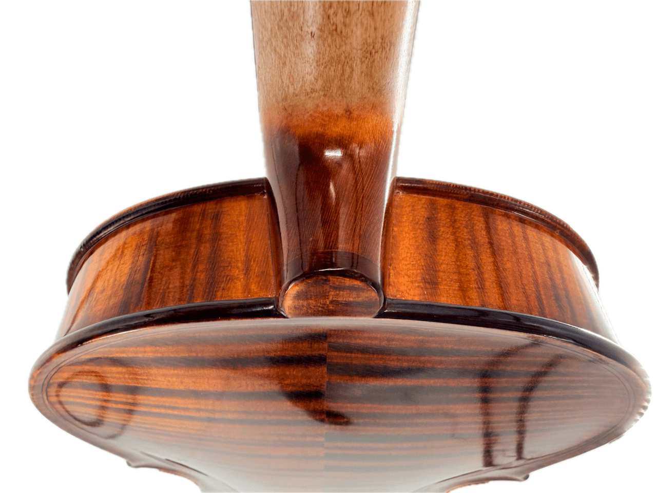 Close-up, low-angle view of the neck and back of the Luce Sebastian Professional Instrument, showcasing its glossy finish and rich wood grain pattern crafted from premium tonewoods.
