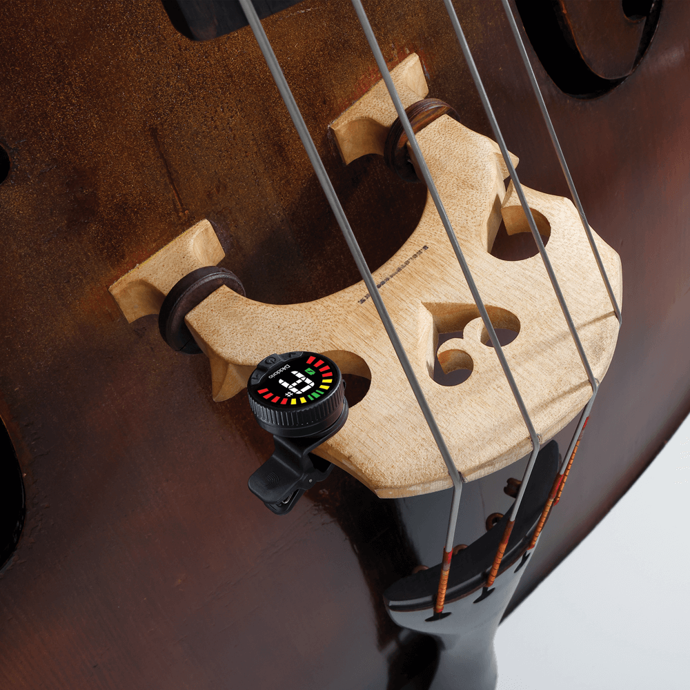 Close-up of a wooden double bass bridge with four strings and a Nexxus 360 Cello & Bass Rechargeable Tuner clipped onto the side, its display showing colored indicators.