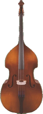 Canzona Allegro 100 Series Student Double Bass Outfit