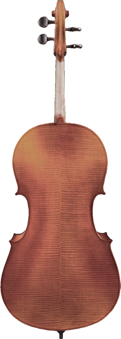 Canzona Allegro 100 Cello Outfit, back