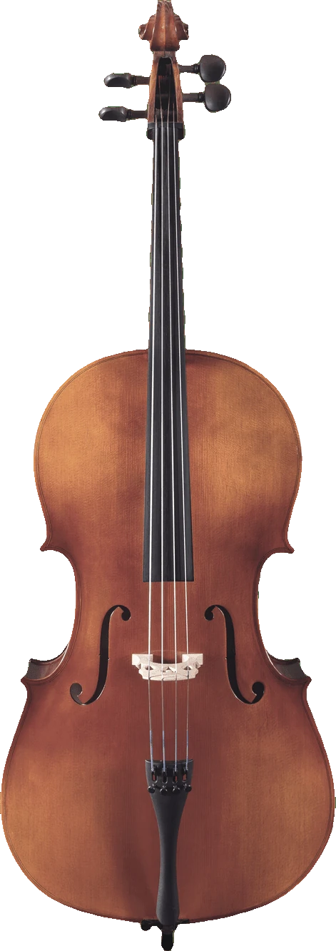 Canzona Allegro 100 Cello Outfit