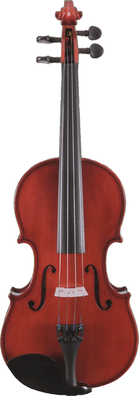 Canzona Allegro Student Viola Outfit – Hand Carved Spruce & Maple