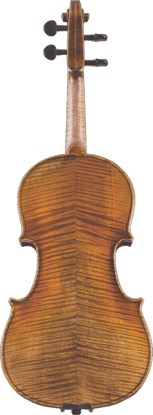 Canzona Lorenzo Intermediate Violin, back