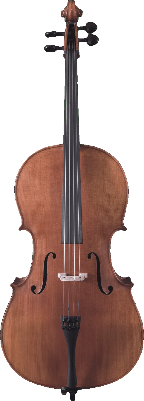 Canzona Caprice 300 Cello Outfit