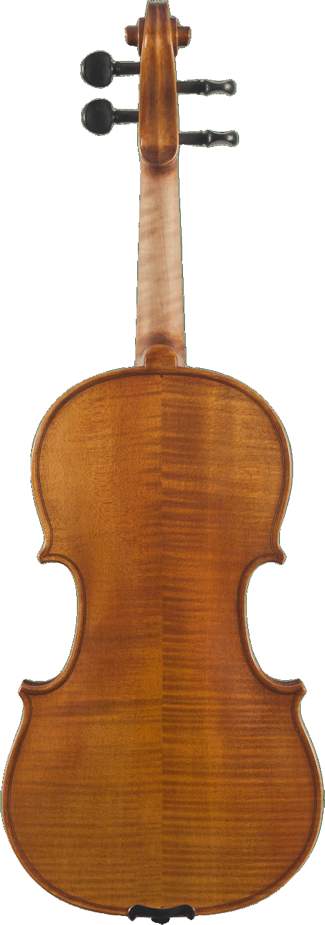 Canzona Caprice 300 Series Intermediate Viola Outfit – Hand Carved Spruce & Maple, back