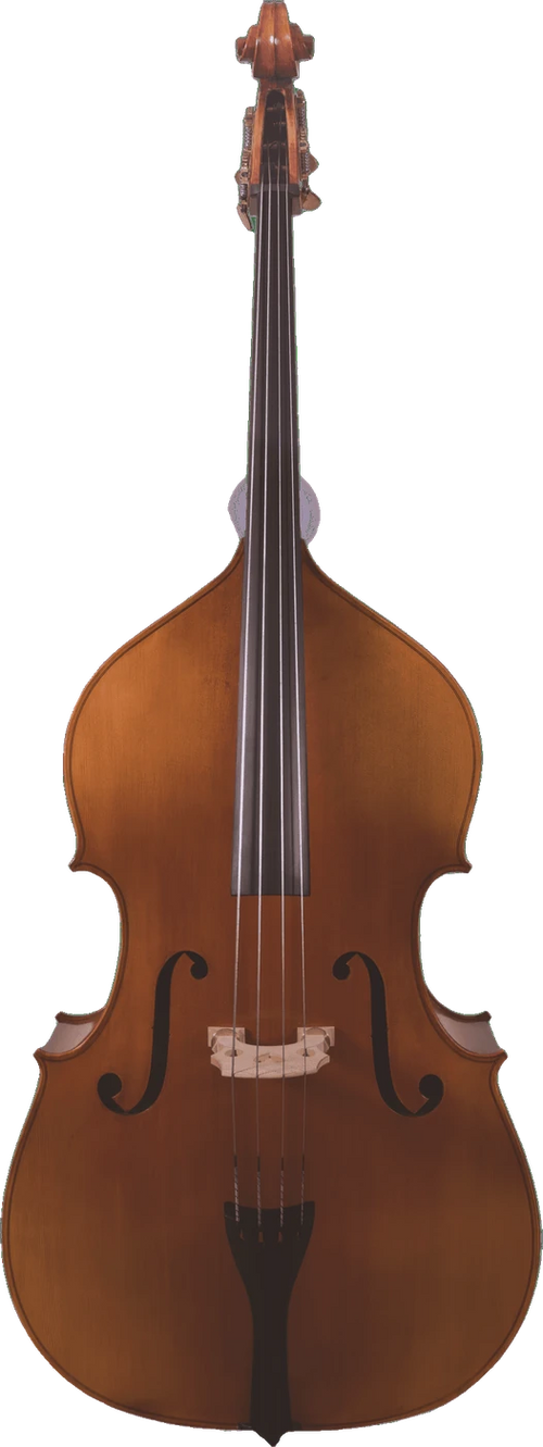 Canzona 300 Caprice Bass