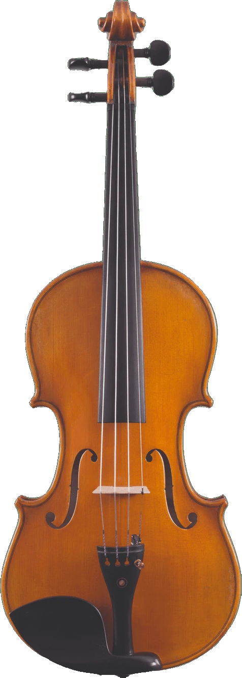 Canzona Francesco Veracini 530 Artist Series Violin – AAA Spruce & Flamed Maple