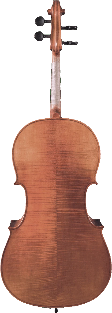 Canzona Milano 400 Cello Outfit, back