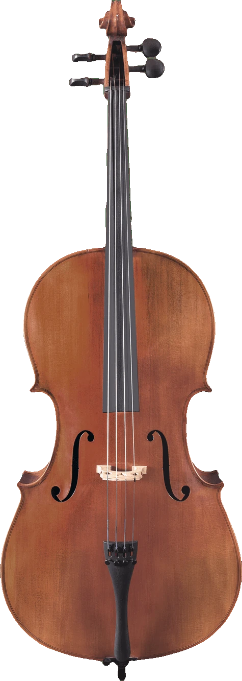 Canzona Milano 400 Cello Outfit