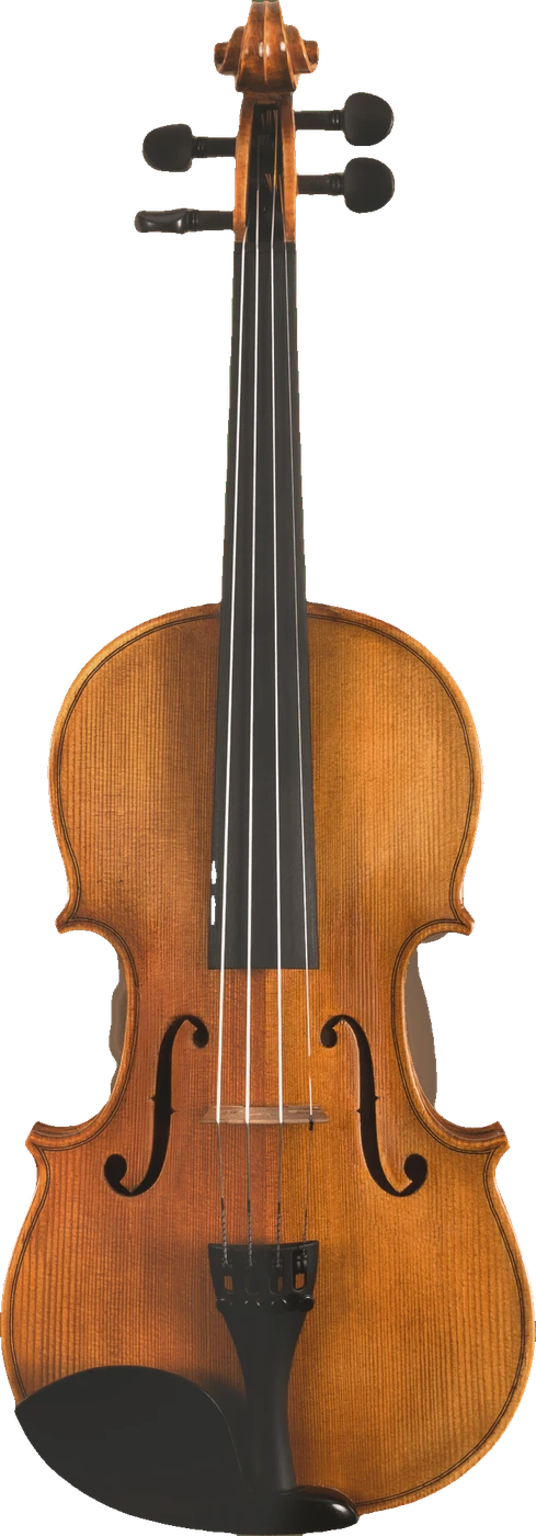 Canzona Milano Violin Outfit