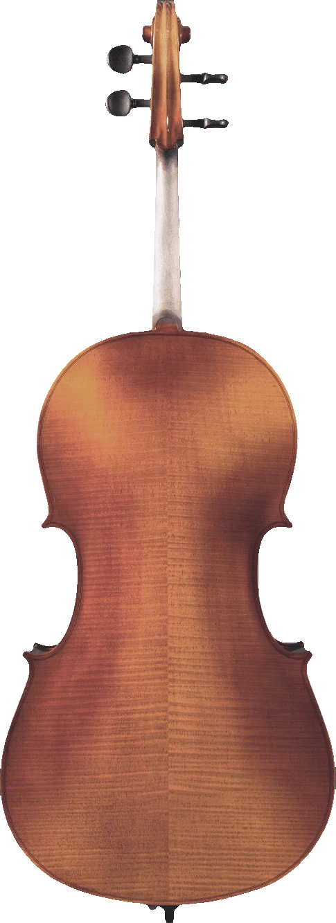 Canzona Sonata 200 Cello Outfit, back