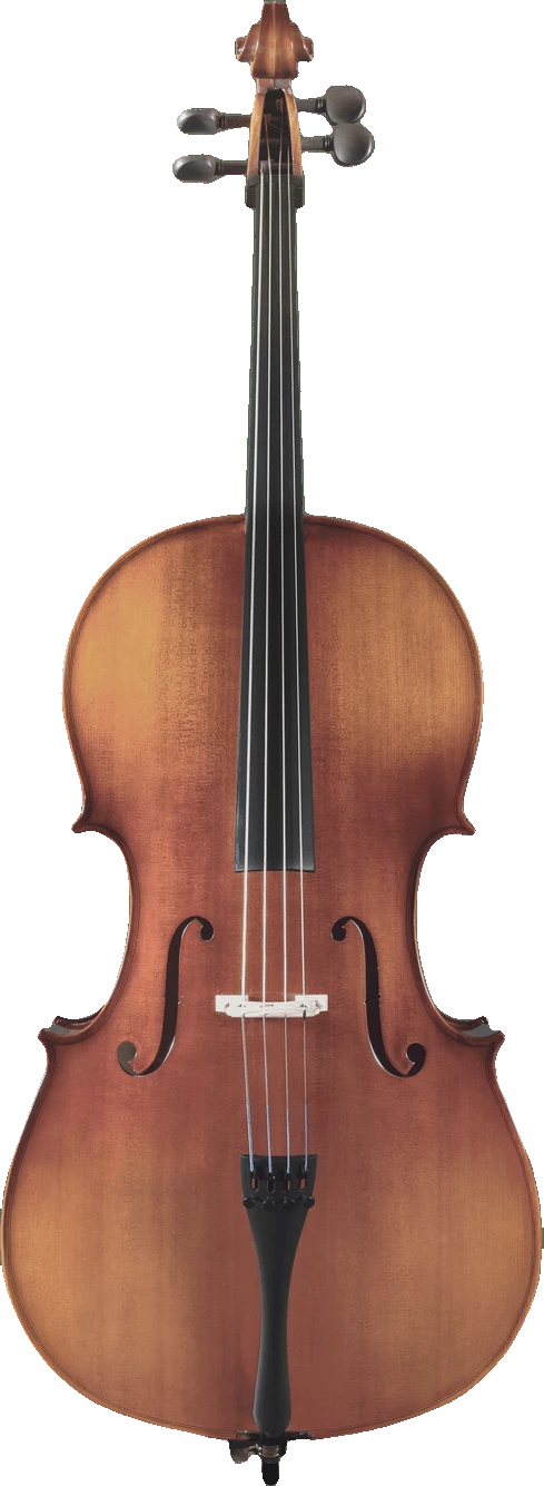 Canzona Sonata 200 Cello Outfit