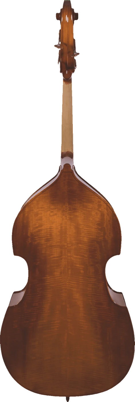 Canzona 200 Sonata Bass Outfit, back