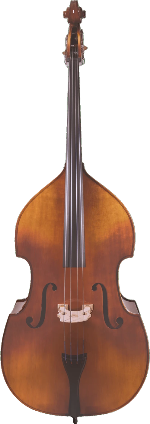 Canzona 200 Sonata Bass Outfit