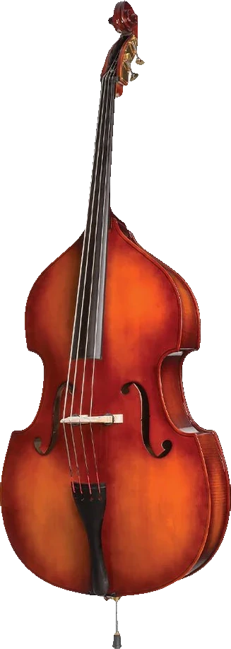 Core Academy A40 Double Bass Outfit