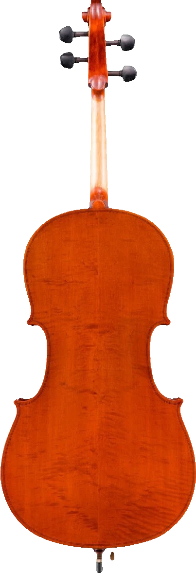 Samuel Eastman VC100 Student Cello, back