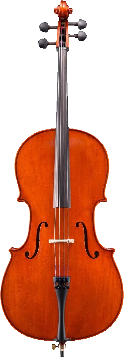Eastman VC100SBC - Student Cello