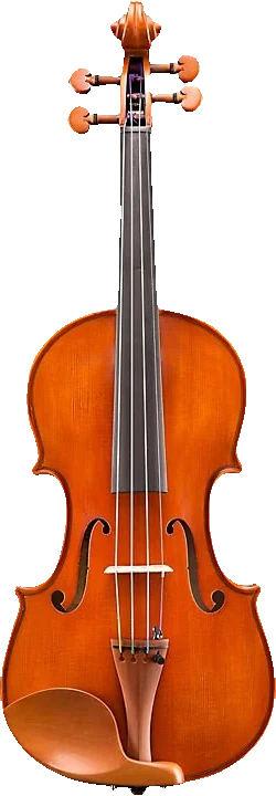Eastman VL200 4/4 Violin