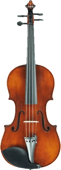 Andreas Eastman VL305 Intermediate Violin & Outfit