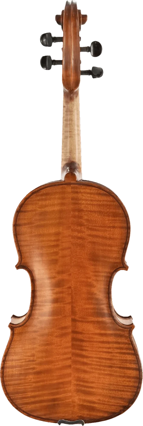 Octav Mures Viola, back