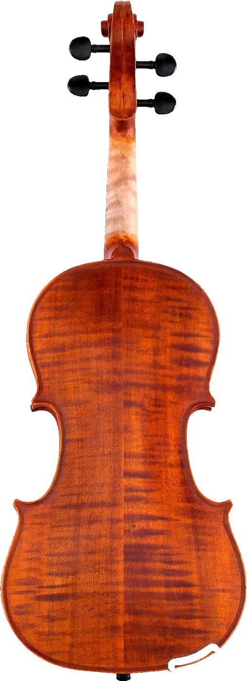 Scherl & Roth SR51 Violin Outfit, back