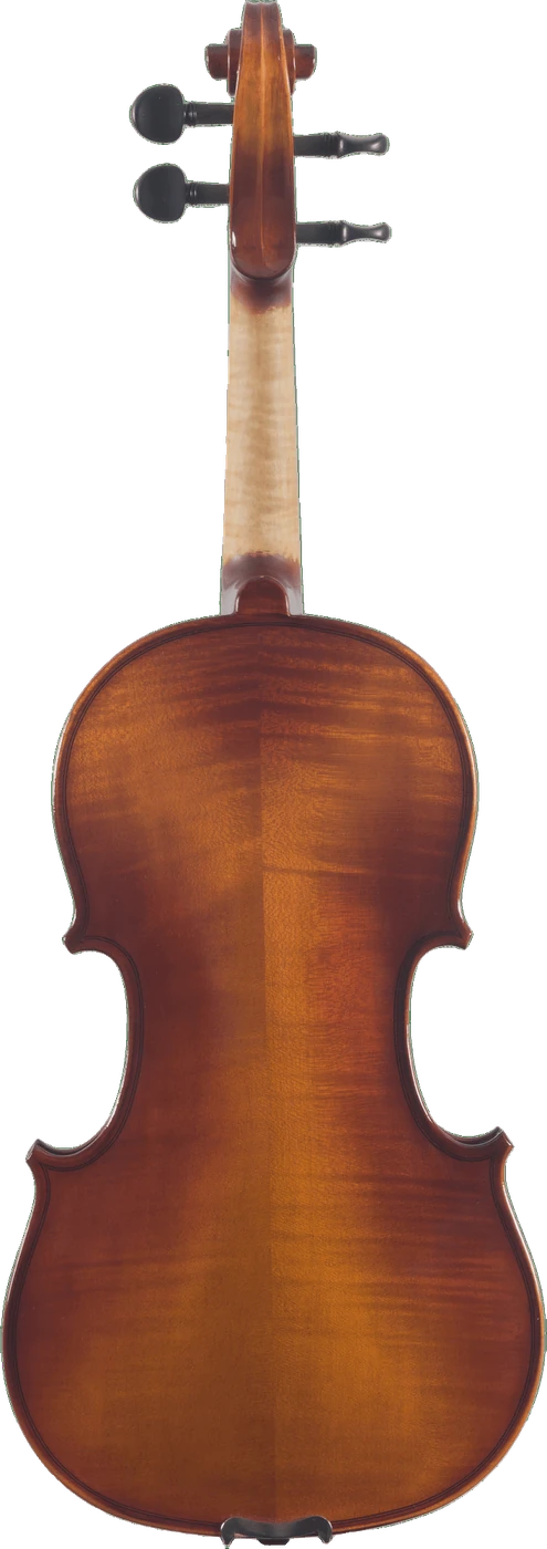 Canzona Sonata Student Violin Outfit | Hand-Carved, back