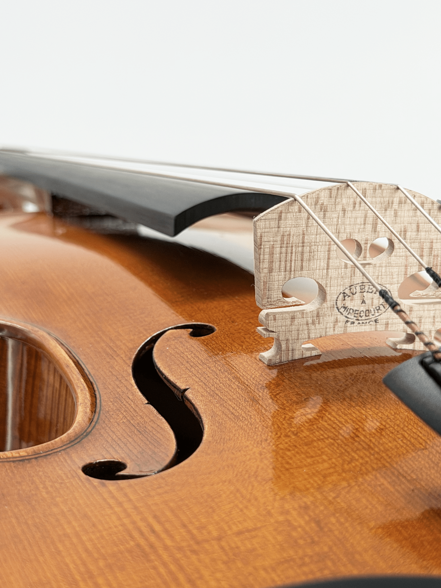 Close-up of the Thomas Zach TZ3 Violin featuring its wooden bridge, strings, and f-hole on a polished brown one-piece back, shown against a white background.