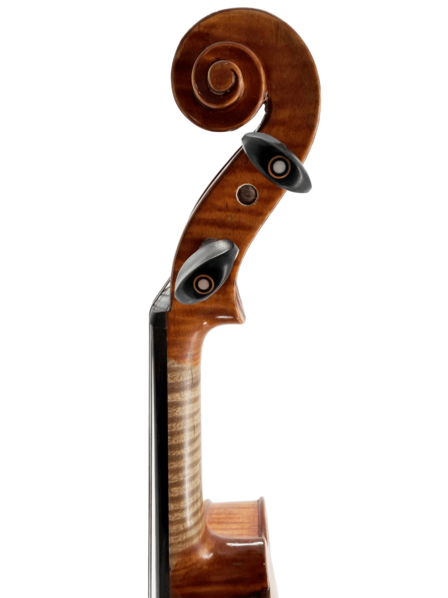 Close-up side view of the Thomas Zach TZ3 Violin’s scroll and pegbox, featuring two tuning pegs and natural wood grain, set against a plain white background.