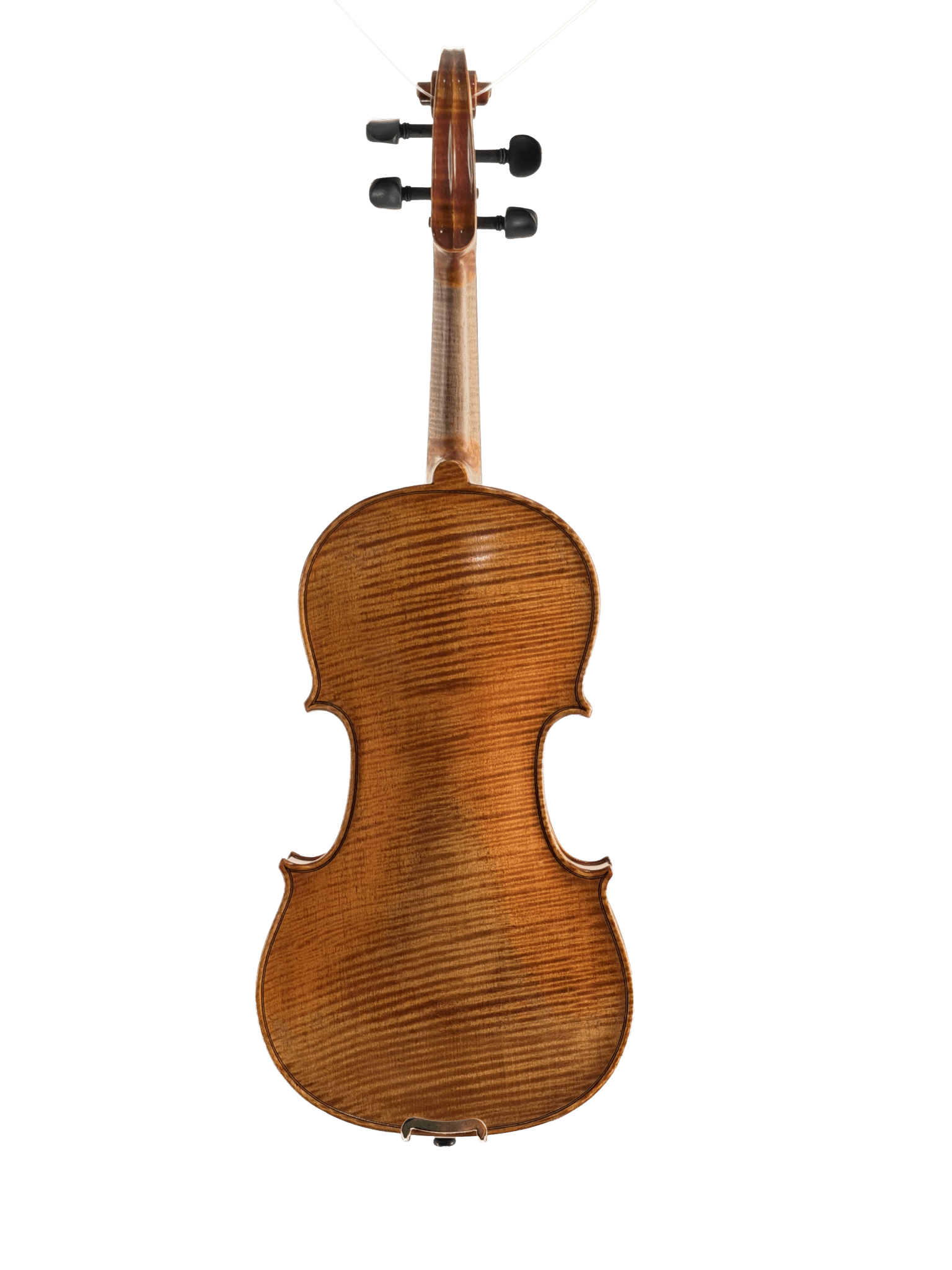 A full view of the back of the Thomas Zach TZ3 Violin, highlighting its rich brown color, elegant wood grain, and subtle curves, set against a plain white background.