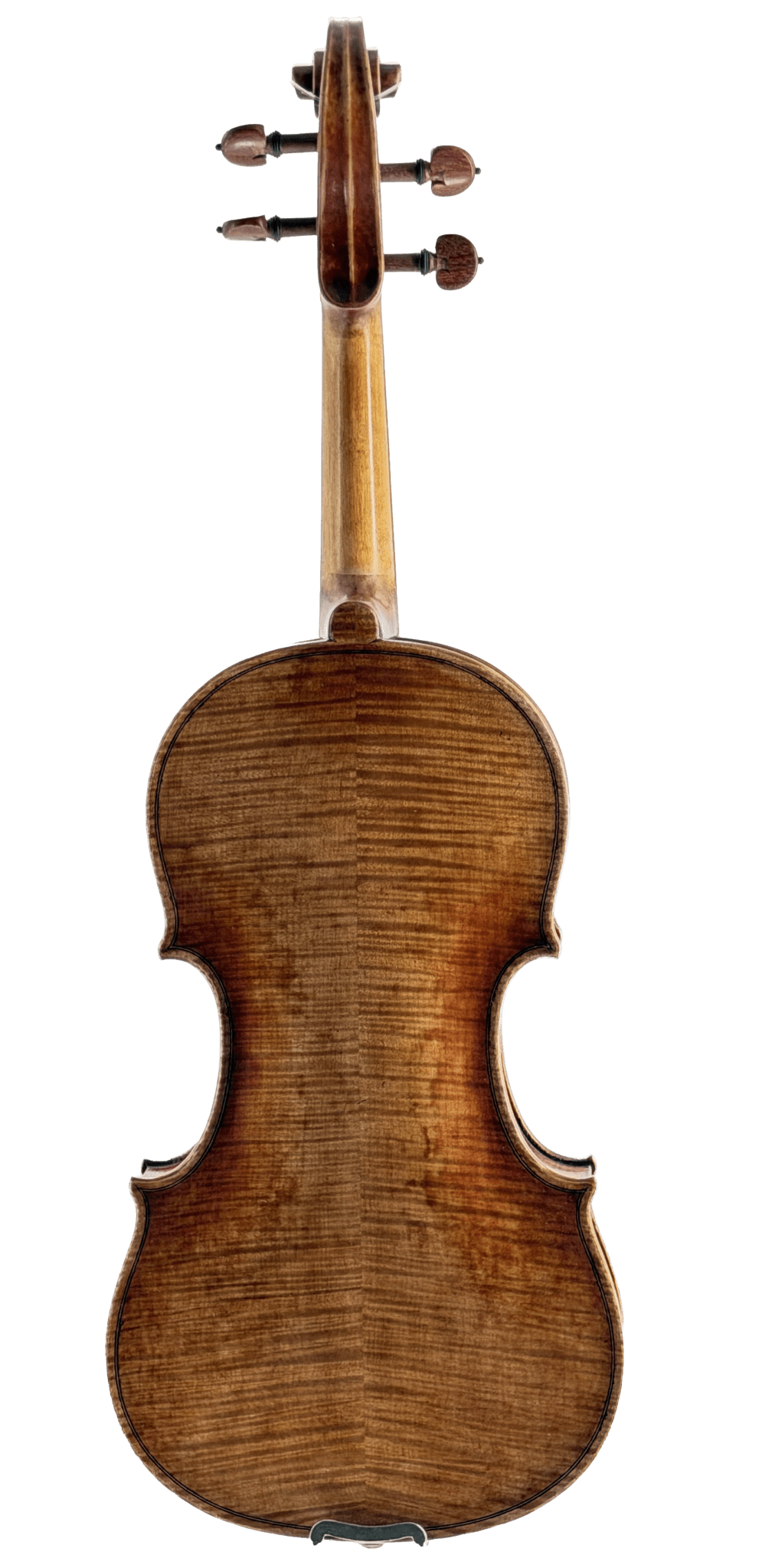 The image shows the back of the Thomas Zach TZC24 Violin, highlighting its rich brown varnish, elegant curves, and visible wood grain—ideal for advancing players. The neck and tuning pegs are clearly visible at the top.