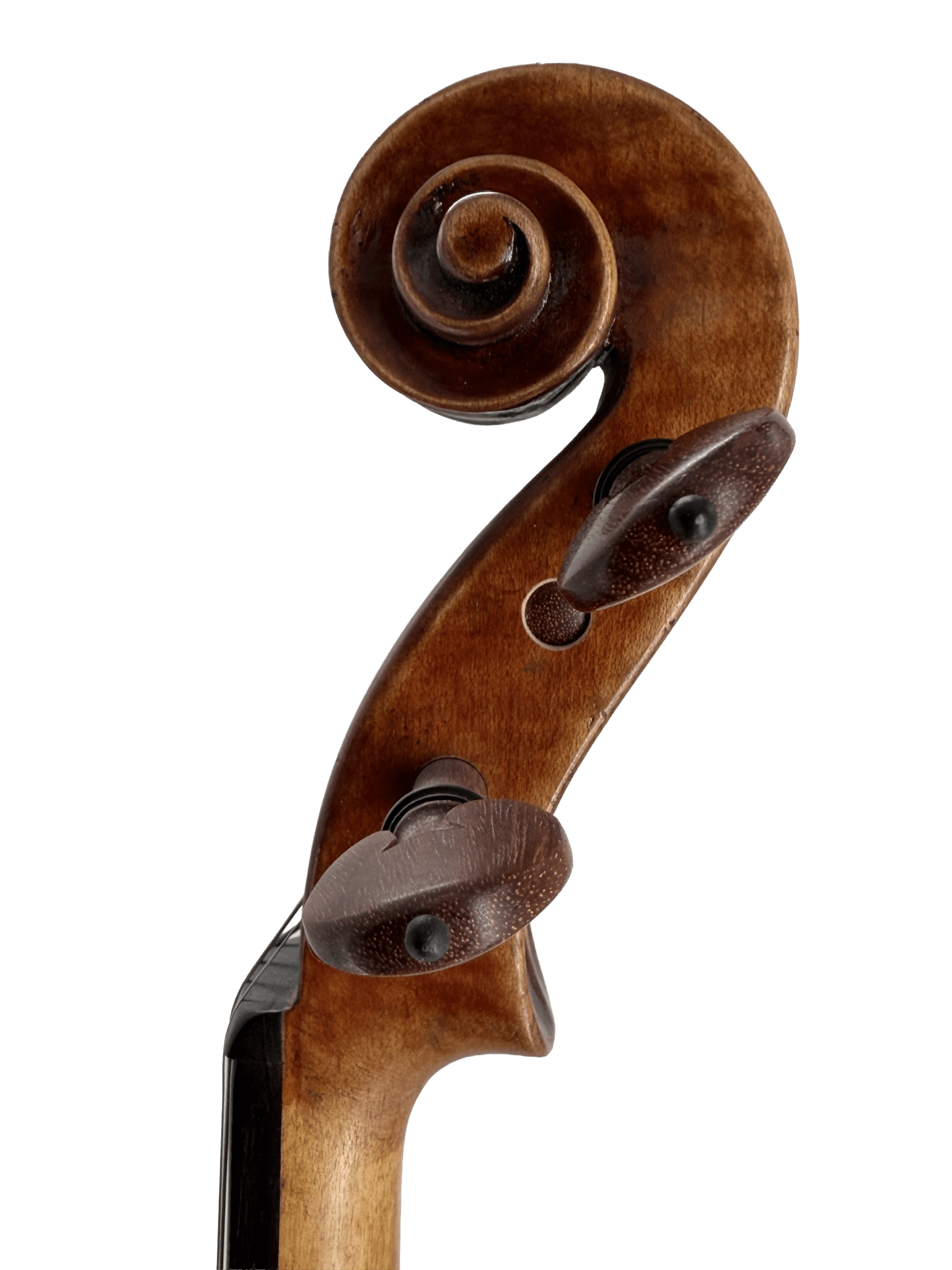 Close-up of the Thomas Zach TZC24 Violin scroll and tuning pegs against a plain white background, showcasing detailed wood grain and refined curves—ideal for advancing players seeking a mature, expressive tone.