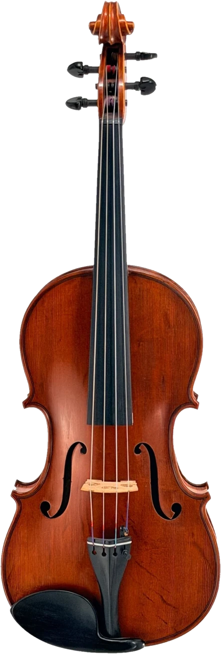 Canzona Maestro-Level viola, front