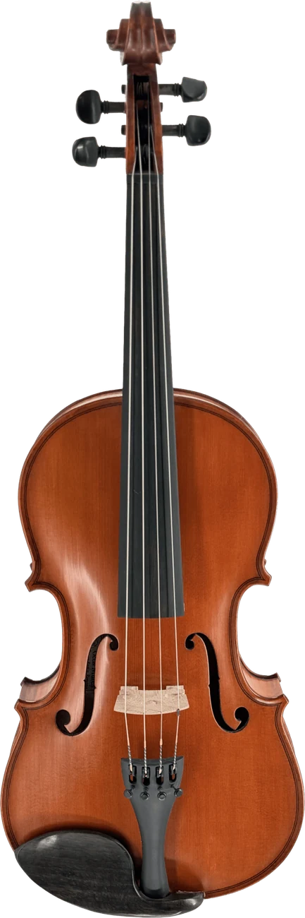 Octav Mureș viola