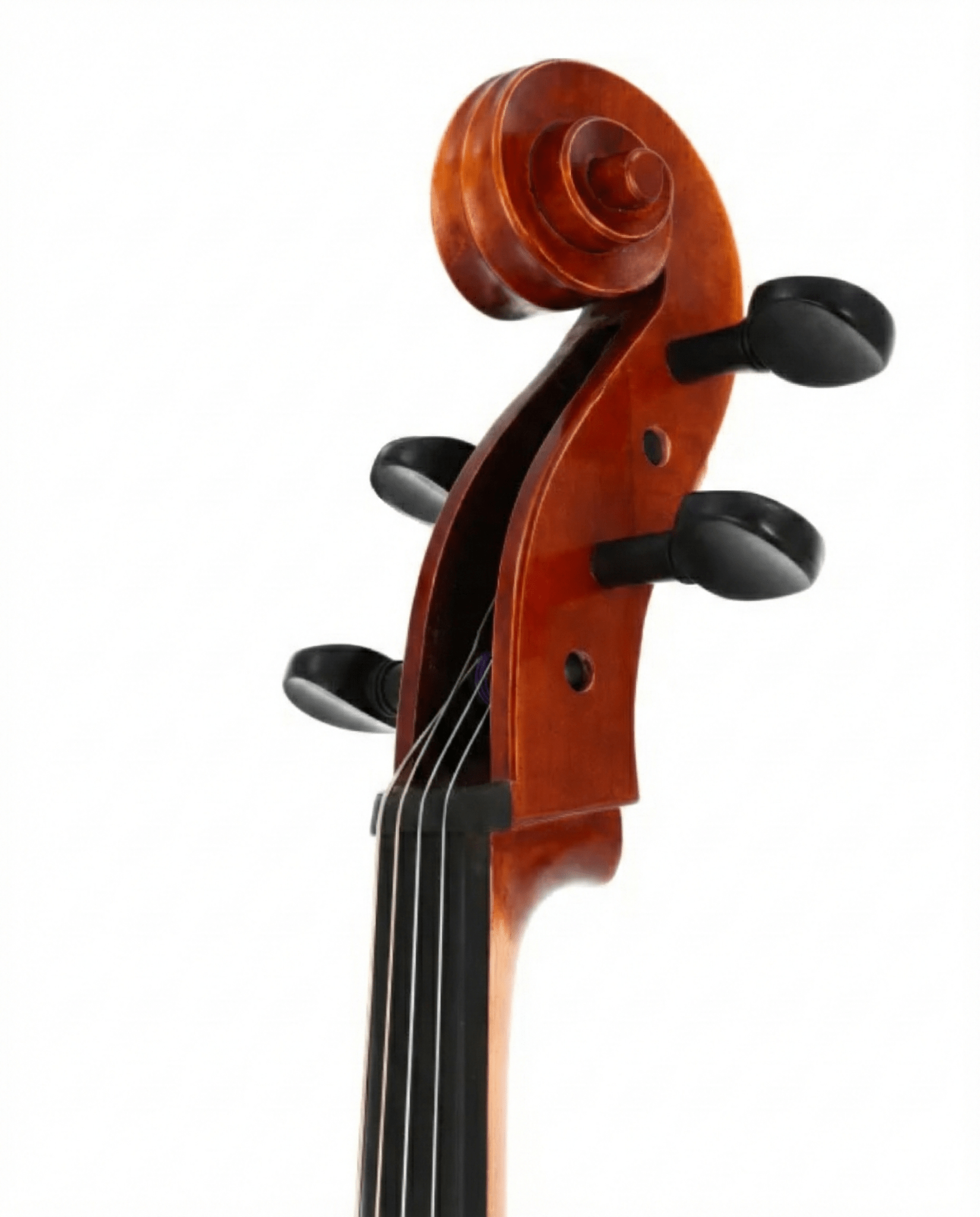 Close-up of the scroll and tuning pegs of a Yamaha AVC7-44SG Full Size Student Cello against a white background, with strings running down the fingerboard.